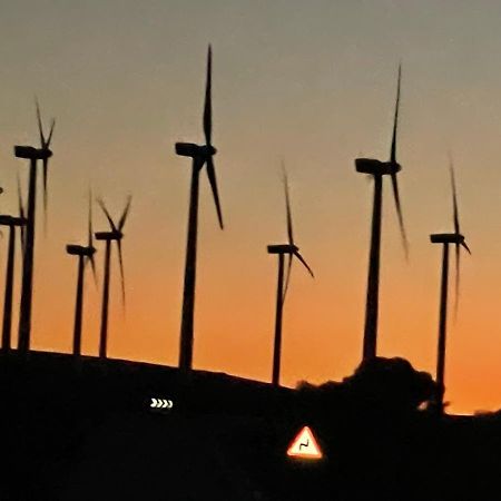 Hotel Playa De La Plata Zahara de los Atunes Dış mekan fotoğraf